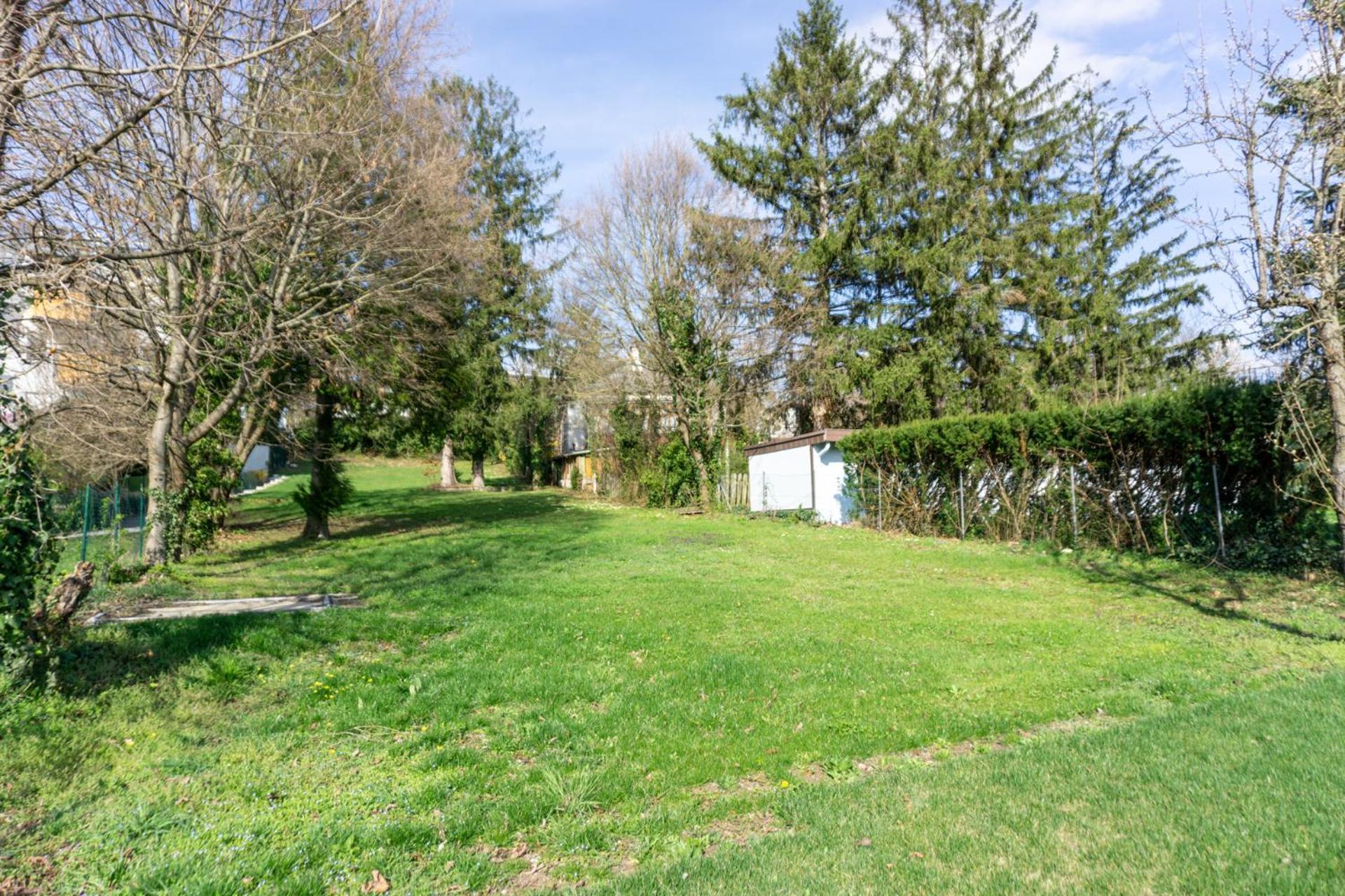 Next To Stadion, Near To Lainzer Tiergarten Διαμέρισμα Βιέννη Εξωτερικό φωτογραφία
